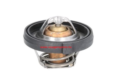 Termosztát 2.4i GS-RG 